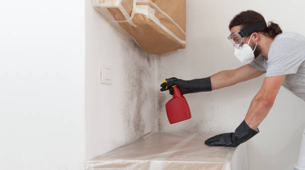 Professional Attic Mold Removal technician working in Framingham, MA