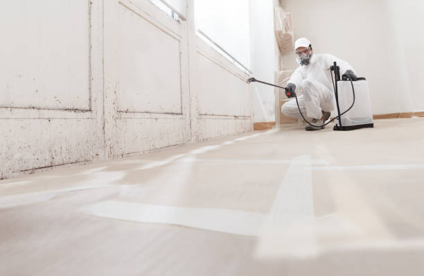 24/7 Emergency Attic Mold Removal experts in Framingham, MA